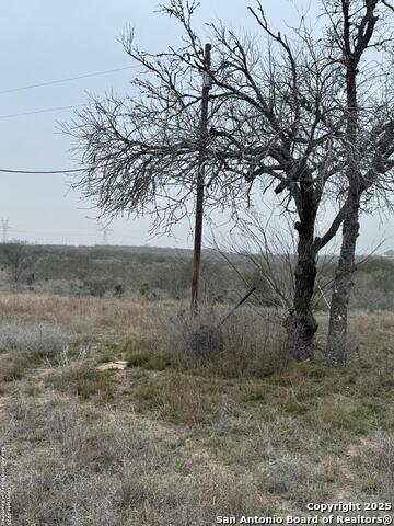 Listing photo id 3 for 00 County Road 153 S