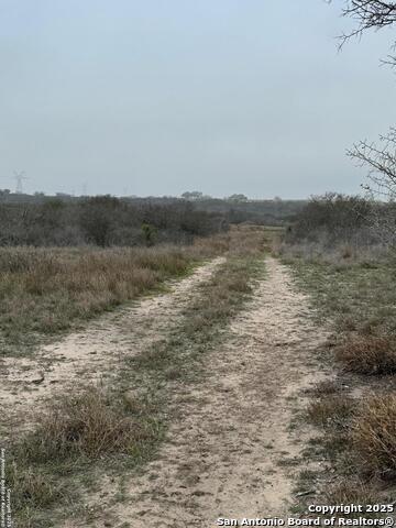 Listing photo id 4 for 00 County Road 153 S