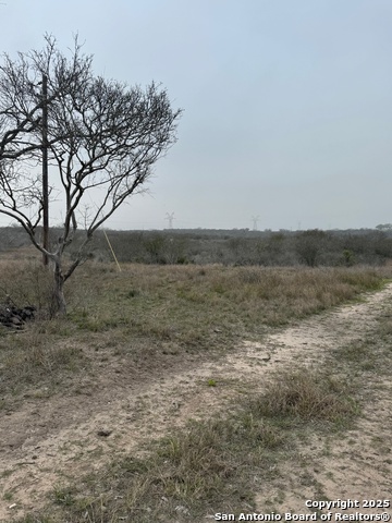 Listing photo id 5 for 00 County Road 153 S