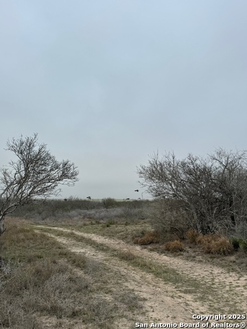 Listing photo id 6 for 00 County Road 153 S