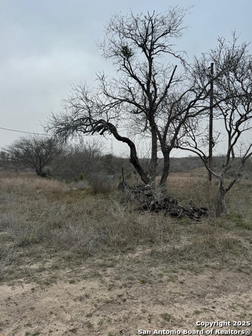 Listing photo id 7 for 00 County Road 153 S