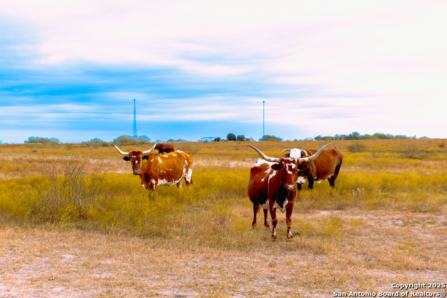Image 14 of 40 For 2741 Fm 2924