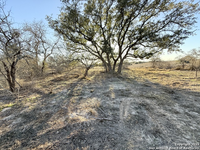 Details for 165 Sanctuary Lane (tract 5), Von Ormy, TX 78073