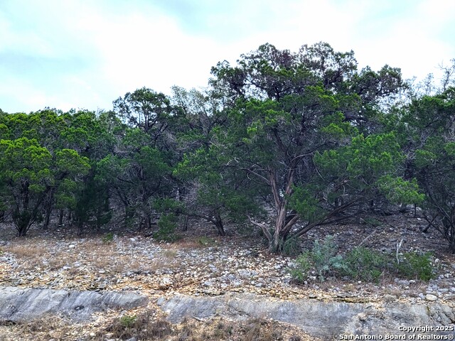 Image 4 of 12 For 322 Private Road 1742