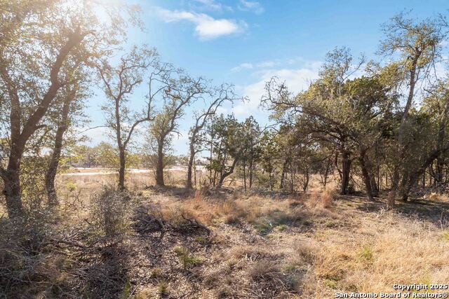 Image 12 of 18 For 716 Live Oak Ridge