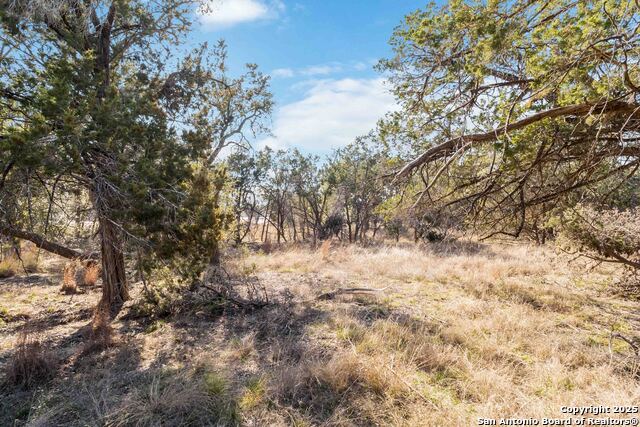 Image 16 of 18 For 716 Live Oak Ridge