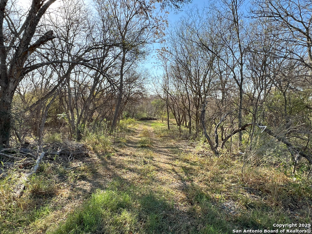 Listing photo id 9 for 908 County Road 5711