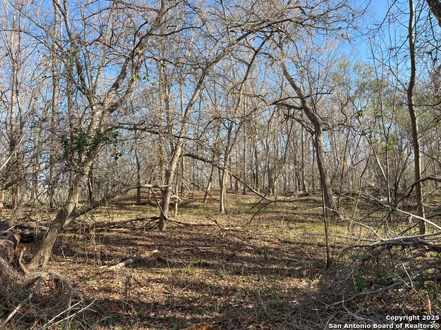 Listing photo id 10 for 908 County Road 5711