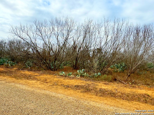 Image 4 of 7 For Tbd Old Hwy 81 Lot 4