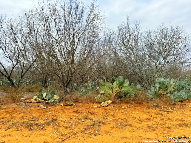 Details for Tbd Old Hwy 81 Lot 5, Moore, TX 78057