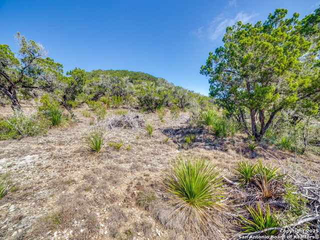 Image 5 of 13 For Lot 138 Pr 1737