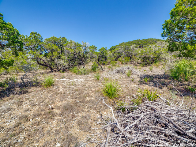 Image 6 of 13 For Lot 138 Pr 1737