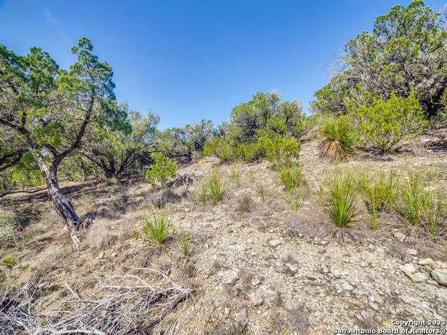 Image 8 of 13 For Lot 138 Pr 1737