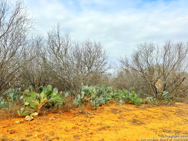 Image 2 of 7 For Tbd Old Hwy 81 Lots 2-6