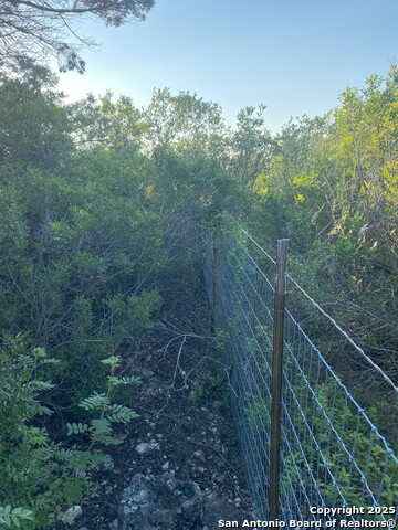 Listing photo id 10 for Tbd County Road 2740