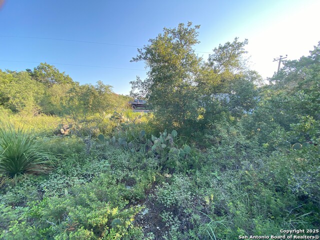 Listing photo id 1 for Tbd County Road 2740