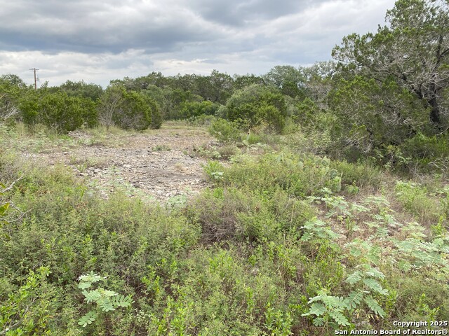 Listing photo id 2 for Tbd County Road 2740