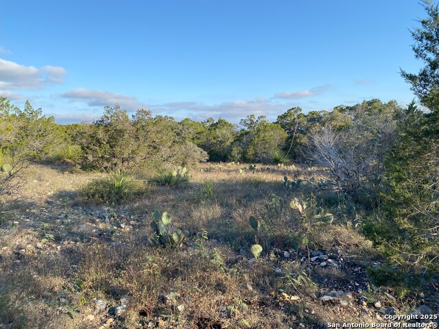 Listing photo id 3 for Tbd County Road 2740