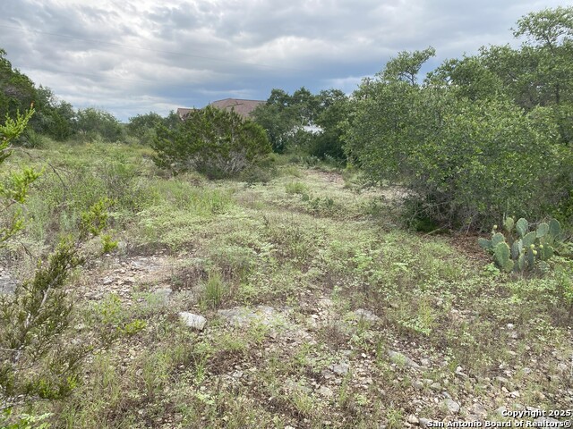 Listing photo id 4 for Tbd County Road 2740
