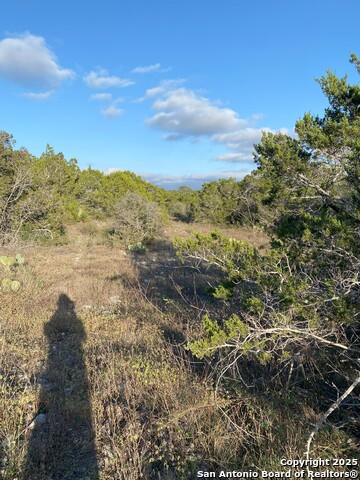 Listing photo id 5 for Tbd County Road 2740