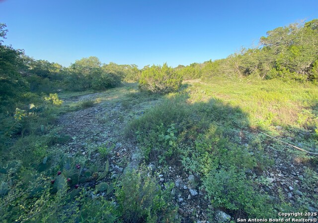 Listing photo id 6 for Tbd County Road 2740