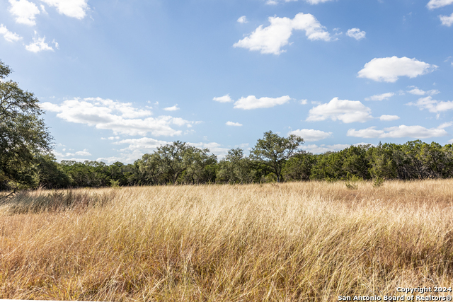 Listing photo id 1 for 28 Vaquero Pass
