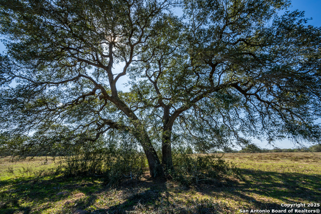 Listing photo id 12 for 16297 Tx-111