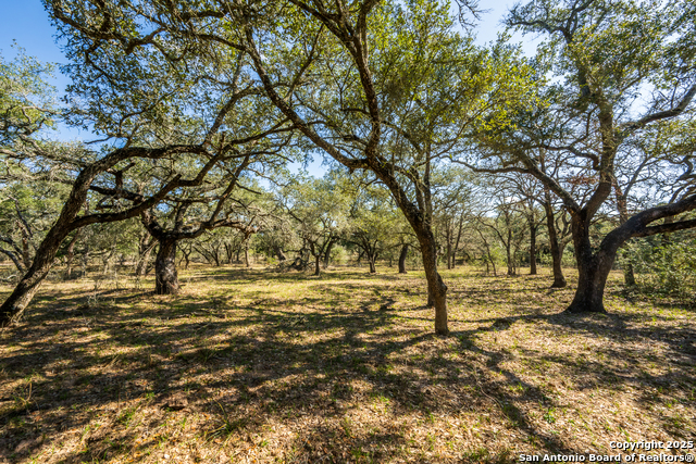 Listing photo id 13 for 16297 Tx-111