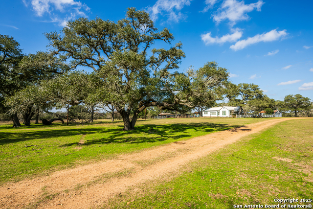 Listing photo id 0 for 16297 Tx-111