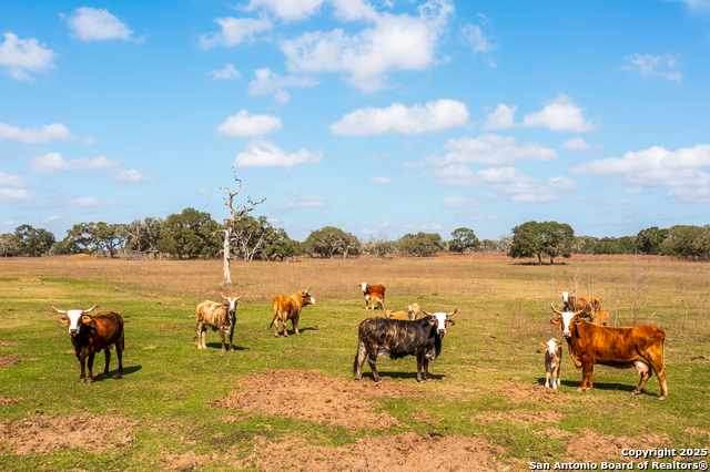 Listing photo id 22 for 16297 Tx-111