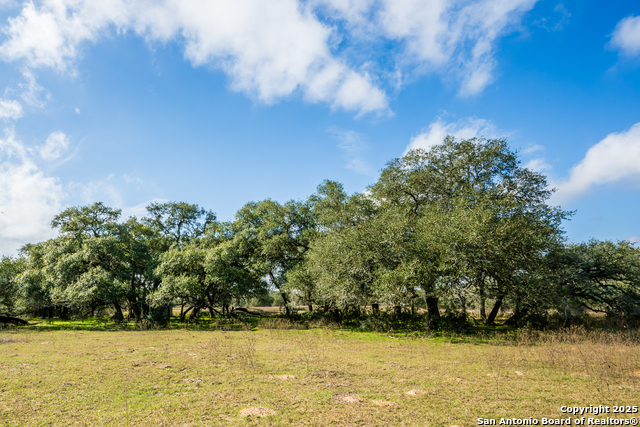 Listing photo id 24 for 16297 Tx-111