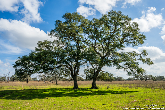 Listing photo id 2 for 16297 Tx-111