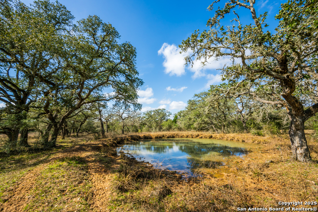 Listing photo id 4 for 16297 Tx-111