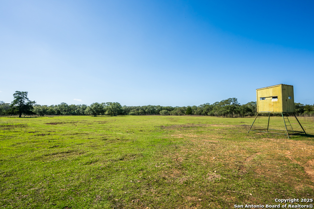 Listing photo id 6 for 16297 Tx-111