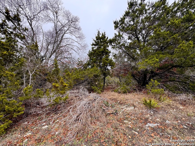 Listing photo id 9 for 0 Atlantis Ave