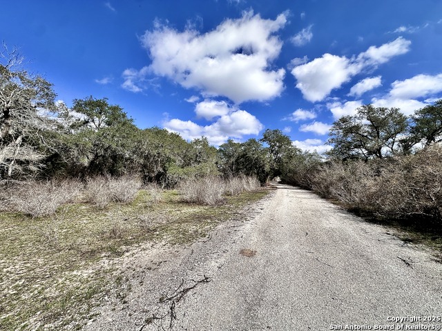 Listing photo id 9 for 8440 State Highway 239 W