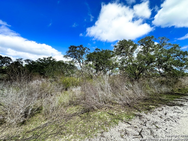 Listing photo id 10 for 8440 State Highway 239 W