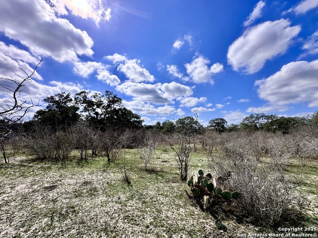 Listing photo id 11 for 8440 State Highway 239 W