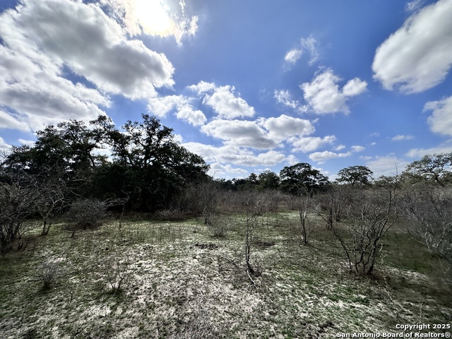 Listing photo id 12 for 8440 State Highway 239 W