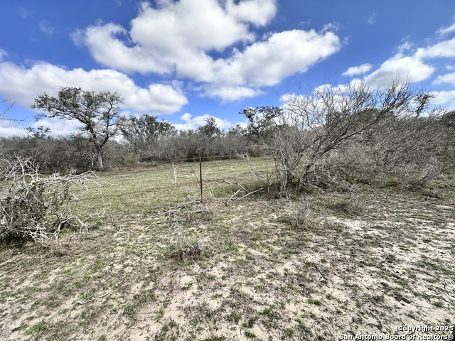 Listing photo id 13 for 8440 State Highway 239 W