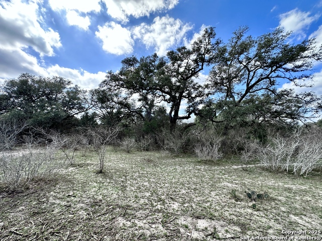 Listing photo id 14 for 8440 State Highway 239 W