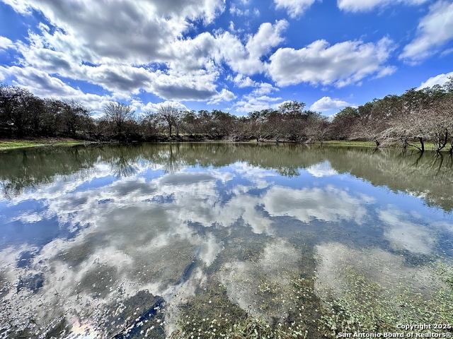 Listing photo id 16 for 8440 State Highway 239 W