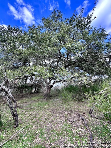 Listing photo id 19 for 8440 State Highway 239 W