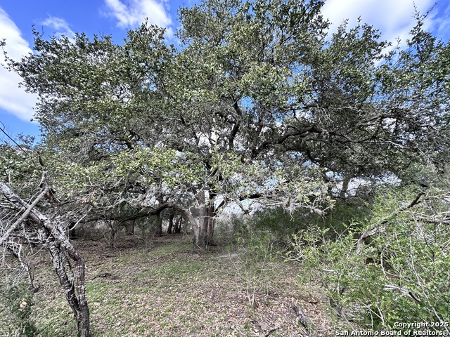 Listing photo id 20 for 8440 State Highway 239 W
