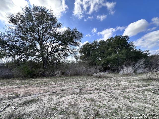 Listing photo id 25 for 8440 State Highway 239 W