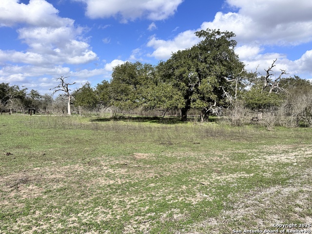 Listing photo id 29 for 8440 State Highway 239 W