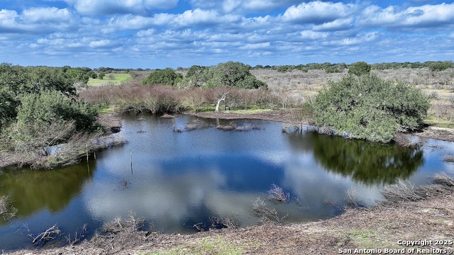 Listing photo id 35 for 8440 State Highway 239 W