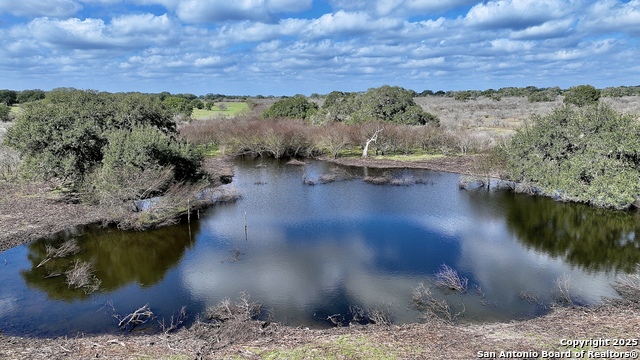 Listing photo id 36 for 8440 State Highway 239 W
