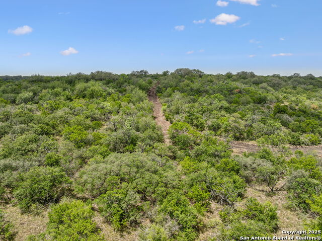 Listing photo id 17 for 718 County Road 466