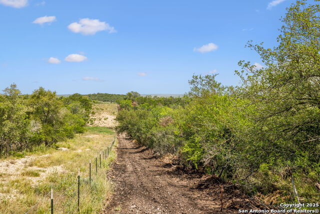 Listing photo id 18 for 718 County Road 466